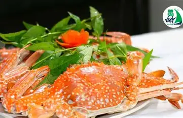 Ứng dụng chế biến